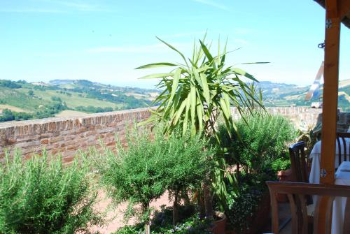 Locanda i Piceni