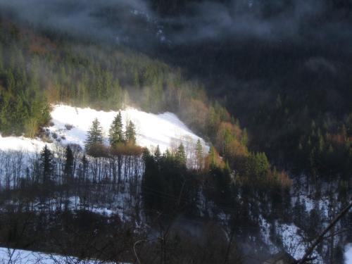 La Chouette à l'heure du Pinson