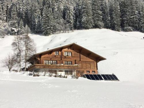 Apartment Abelied by Interhome - Adelboden