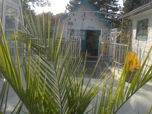 Camping le Royon - image 10