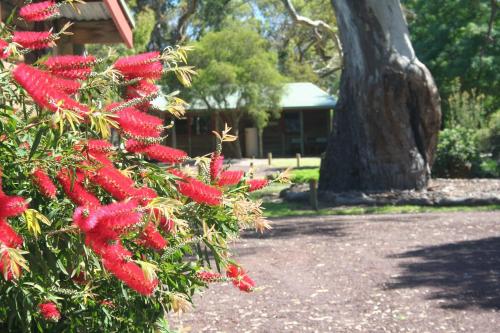 Southern Grampians Cottages