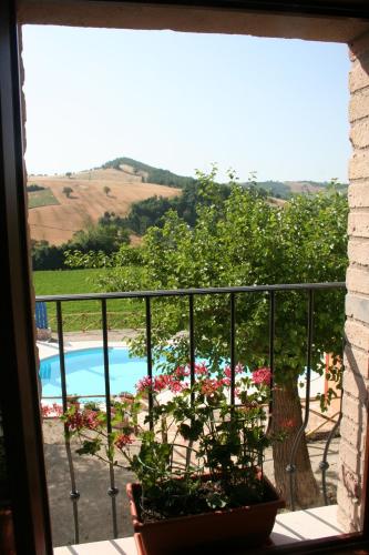 View, Agriturismo Il Casale in Pergola (Urbino)