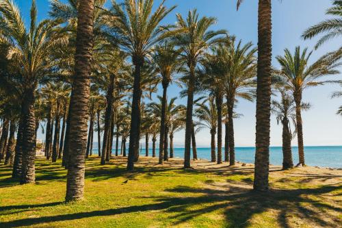Apartamento Torremolinos San Miguel - image 2