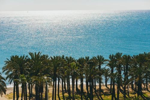 Apartamento Torremolinos San Miguel - image 4