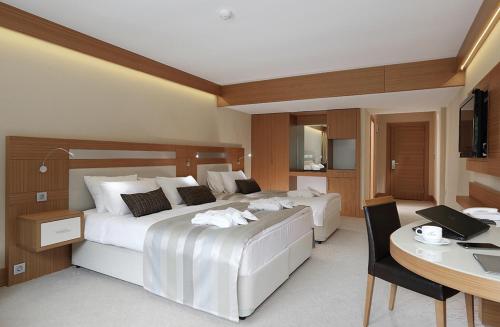 Kackar Resort Hotel - image 13