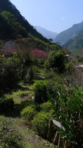 Raisinay, Nanzhuang (foto 10)