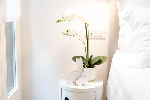 San Marco Design Suites