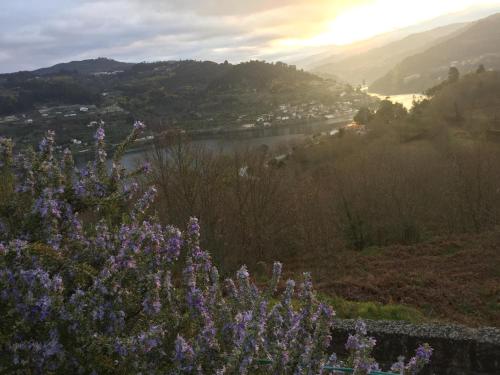 Quinta Da Ventuzela Hôtel