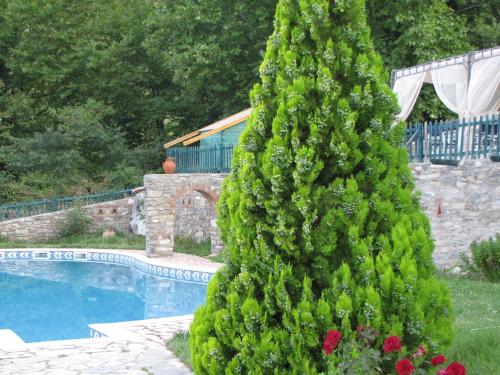 Dionysus Village Resort 4