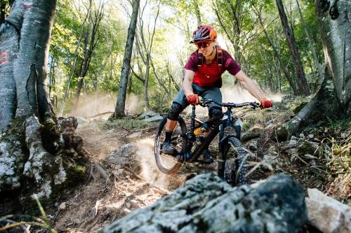 Residence Holidays - image 3