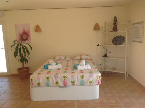 Finca Klara, Boutiquehotel - Apartment -Javea-Moraira-