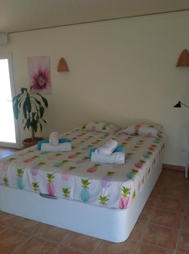 Finca Klara, Boutiquehotel - Apartment -Javea-Moraira-