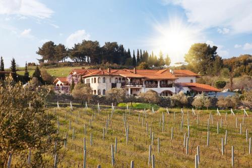 VINIFERA VINEYARDS HOTEL