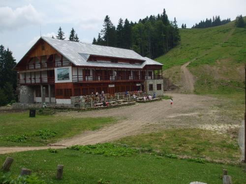 Cabana Girbova - Accommodation - Predeal