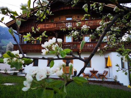  Apart Sprenger Fügen im Zillertal in Fügen