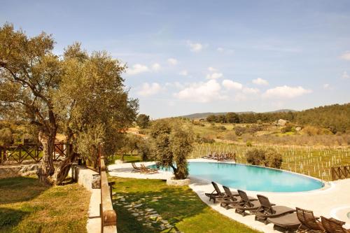 VINIFERA VINEYARDS HOTEL