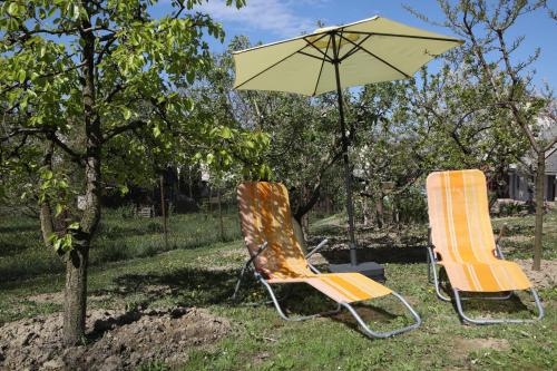 Garden, Varga Vendeghaz in Sagvar