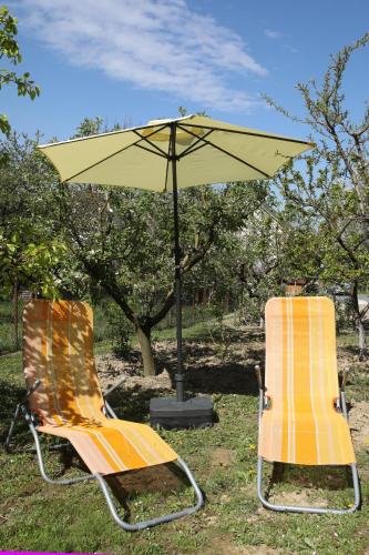 Garden, Varga Vendeghaz in Sagvar