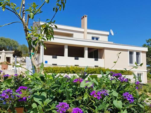  Holiday Home Kaliope, Pension in Brgulje