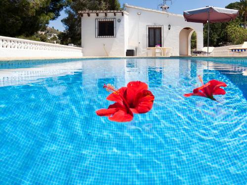  Holiday Home Heidi by Interhome, Pension in Empedrola