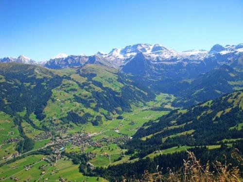  Apartment Wildbach in Lenk im Simmental