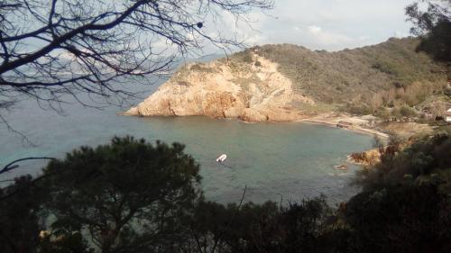 Sansone, Portoferraio (foto 10)