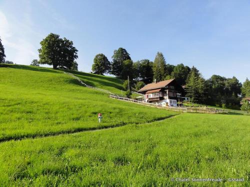 Apartment Sonnenfreude- Chalet by Interhome