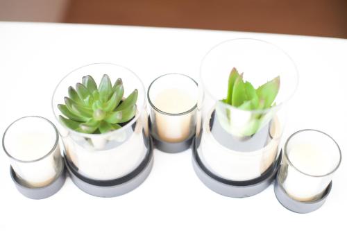 Traditional Apartments Vienna TAV - image 14