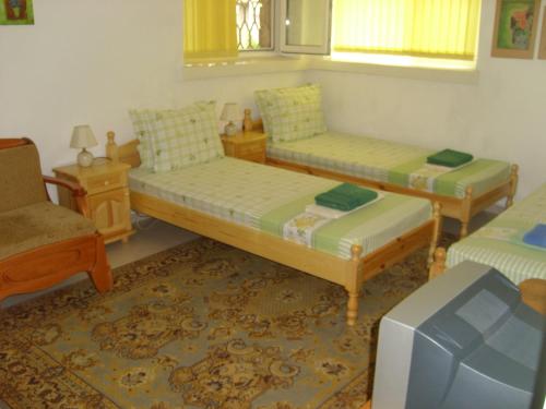 Plamena Guest Rooms - image 8