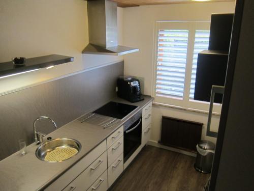 Huis Fitaniki – Leogang, SD
