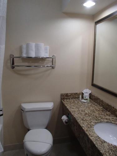 Lux Hotel & Spa, Trademark Collection by Wyndham – Arlington, TX