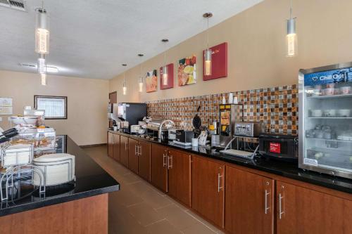 Comfort Suites Ennis - image 6