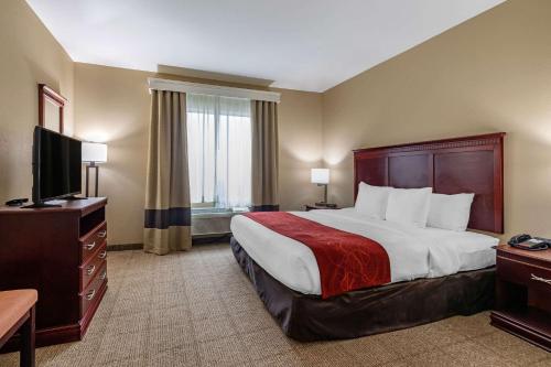 Comfort Suites Ennis - image 9