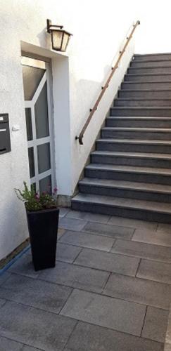Ferienwohnung Frau Klara - image 14