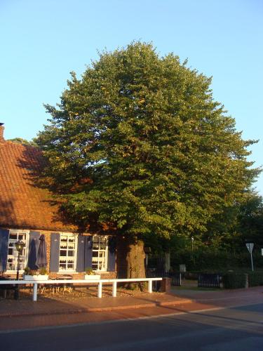 Landhotel und Gasthof Oltmanns