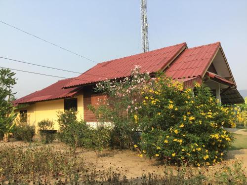 บ้านอ้วนชมพู บ้านอ้วนชมพู