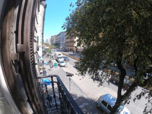 B&B 248 - image 2