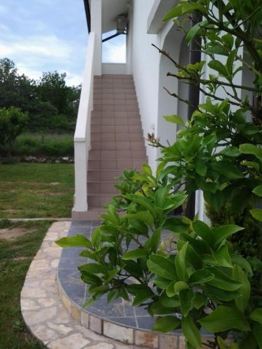  Apartments Ivan - with garden in Lopar