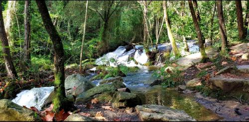 Càmping Parc Gualba