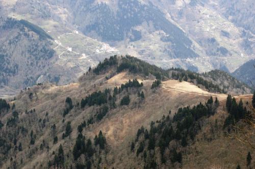  ADEN KONAKLAMA in Trabzon
