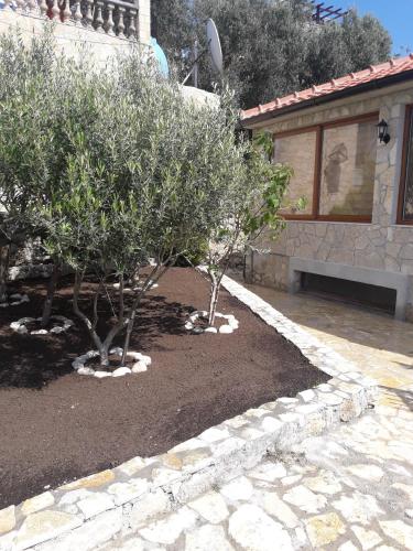 Apartments Antigona Old Town - image 8