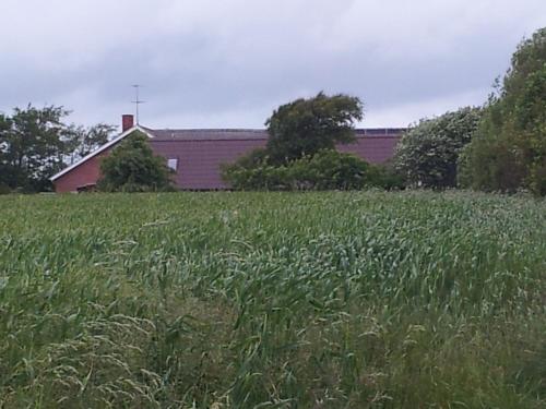 Lilleledgaard studio, Ringkøbing (foto 3)