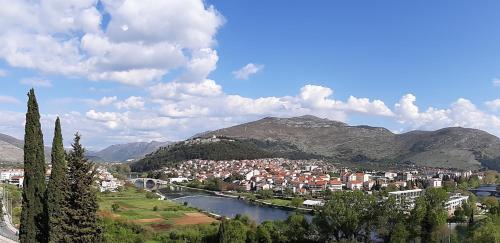 Nijona 1