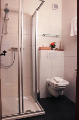 Hotel Alpenland - image 10
