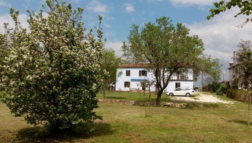  Istrian stone villa Da Luci in Rovinj
