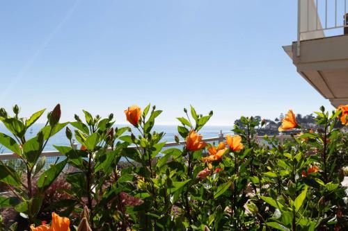 Sea & Sand Inn, Santa Cruz (photo 9)