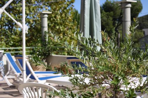 Auberge Provençale - image 10