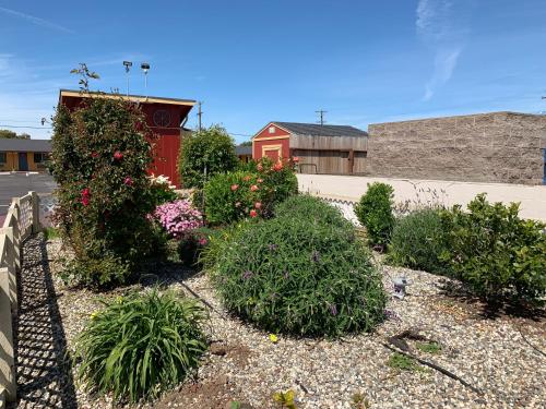 Wagon Wheel Motel
