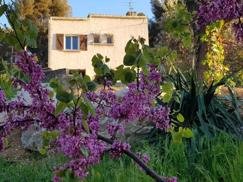 La Champanel Maison vue Mer JO24 - Location, gîte - Marseille