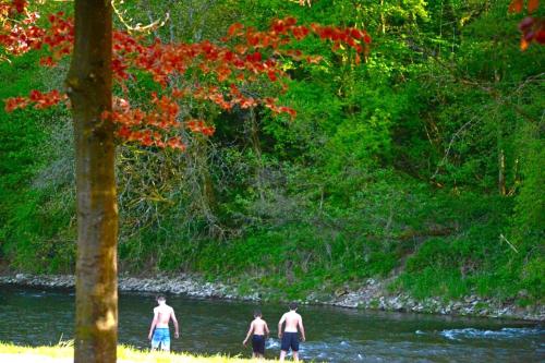  Camping village SY in Ferrières